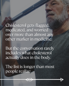 Cholesterol Cholesterol